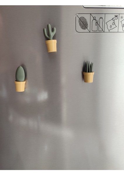 Ev Dekorasyon Buz Dolabı Magnet Succulet 3 Adet