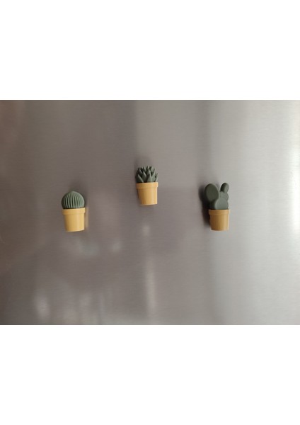 Ev Dekorasyon Buz Dolabı Magnet Succulet 3 Adet