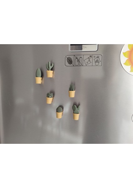 Ev Dekorasyon Buz Dolabı Magnet Succulet 3 Adet
