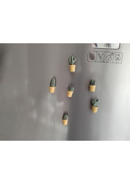 Ev Dekorasyon Buz Dolabı Magnet Succulet 3 Adet
