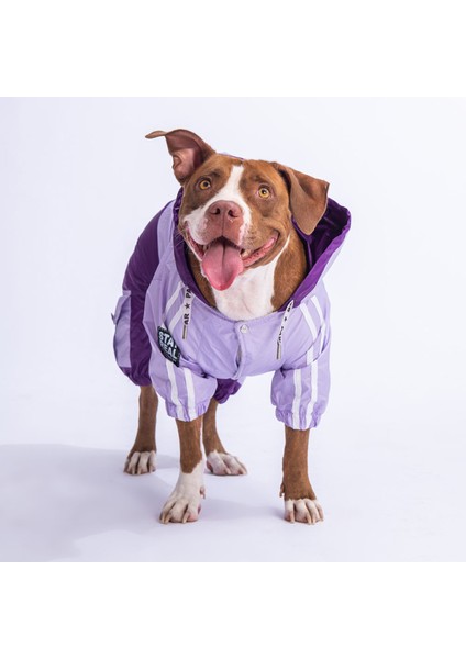 Lila-Mor Bicolor Orta ve Büyük Irk Köpek Tulum Yağmurluğu Köpek Yağmurluk Köpek Kıyafeti fiyatları