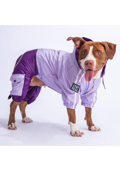 Lila-Mor Bicolor Orta ve Büyük Irk Köpek Tulum Yağmurluğu Köpek Yağmurluk Köpek Kıyafeti