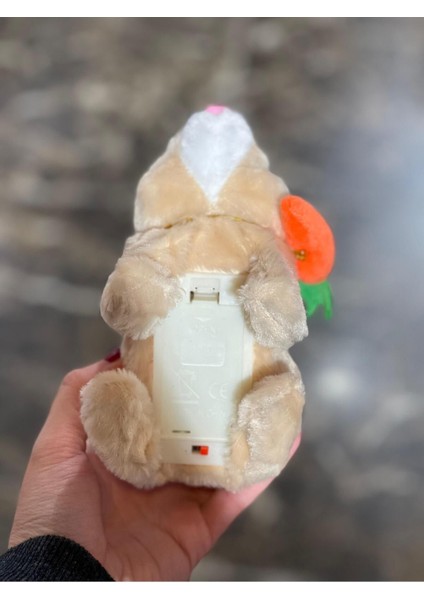 Pilli Sesli Zıplayan Hareketli Havuçlu Krem Rengi Peluş Tavşan 18X17 cm