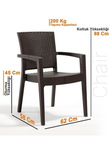 Standart Troya Rattan Koltuk Kahverengi | 2'li Set Kahverengi Modern Modern Plastik