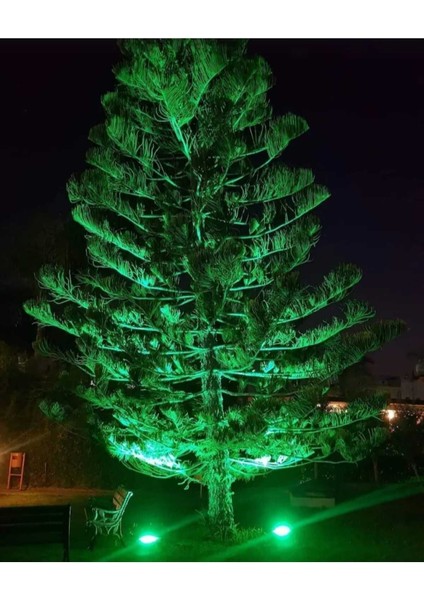 Ledli Siyah Aleminyum Döküm Kasa 10W Yeşil LED Projektör Bahçe Mağaza Bina Giriş Su Geçirmez LED Pr fırsatları