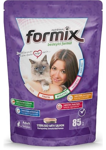 FORMİX Formina Somon Etli Jöleli Kısır Kedi Maması 85 gr*24 Adet