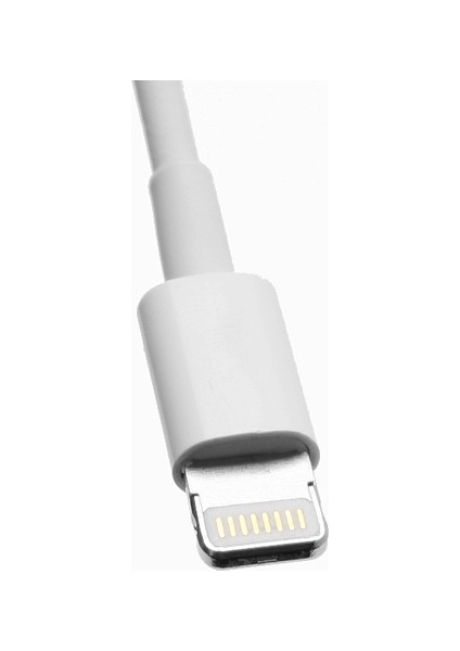 iPhone Se 5s 5c 5/ipod Touch 5 Nano 7 için 8pin Lightning USB Sync Veri Şarj Kablosu, Ios 8.0 Sistemini-Beyaz (Yurt Dışından)