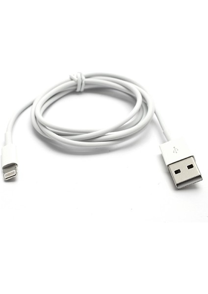 iPhone Se 5s 5c 5/ipod Touch 5 Nano 7 için 8pin Lightning USB Sync Veri Şarj Kablosu, Ios 8.0 Sistemini-Beyaz (Yurt Dışından)