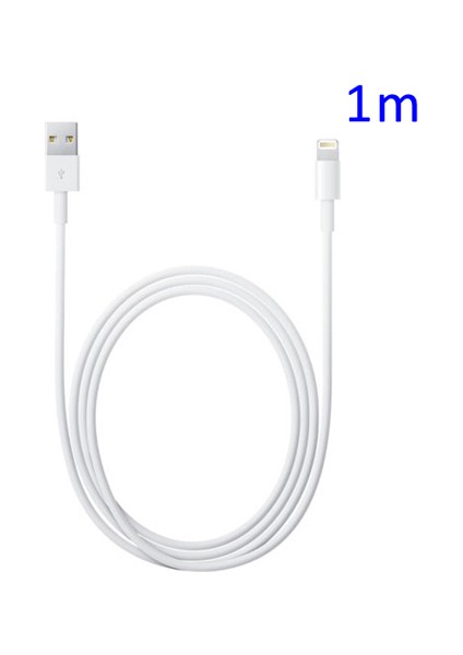iPhone 6 5s 5c 5/ipad Air/ipad Mini 2/ipad 4/ipod Touch 5 için Yüksek Kaliteli Yıldırım 8 Pinli USB Senkronizasyon Veri Şarj Kablosu, Ios 8.0 Sistemini (Yurt Dışından)