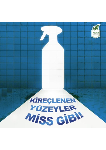 Clean Ultra Güçlü Banyo Temizleyici ve Kireç Çözücü Okyanus Kokulu Sprey 750 ml