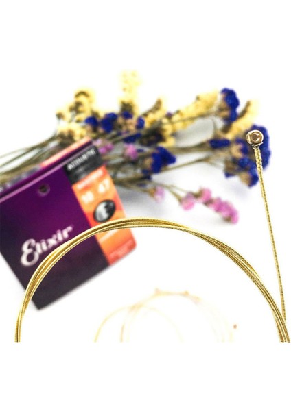 NO.19002 Tarzı Paslanmaz Akustik Gitar Teli Elektro Gitar Teli, Fosfor Bronz, Bronz, Nikel (Yurt Dışından) indirimleri