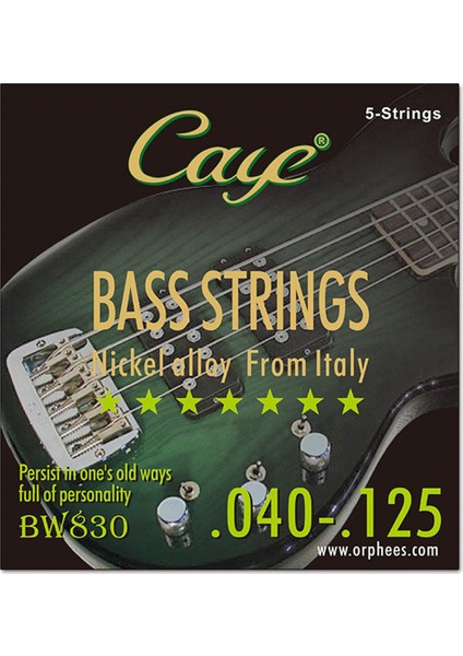 BW830- 5 Telli Stil Caye Bw Serisi Bas Telleri Altıgen Çelik Çekirdekli Teller Stringli Enstrüman Yedek Parçaları (Yurt Dışından)