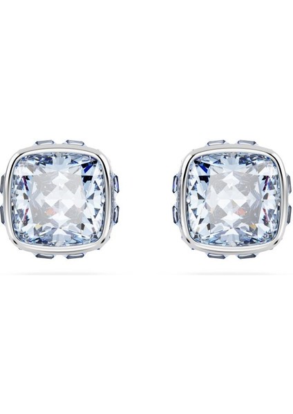 5660800 Swarovski Küpe Birthstone:pe Studs Mar Blu/rhs