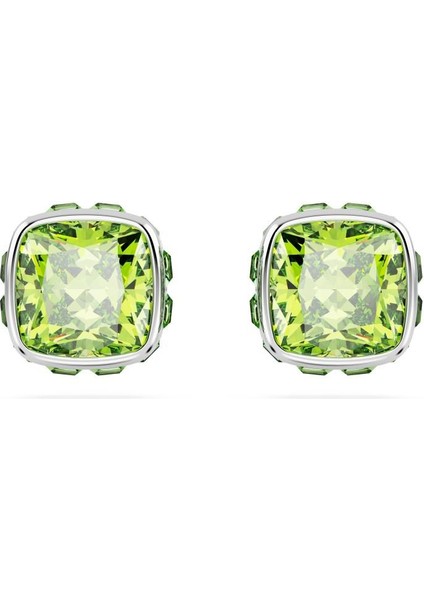 5661958 Swarovski Küpe Birthstone:pe Studs Aug Gre/rhs