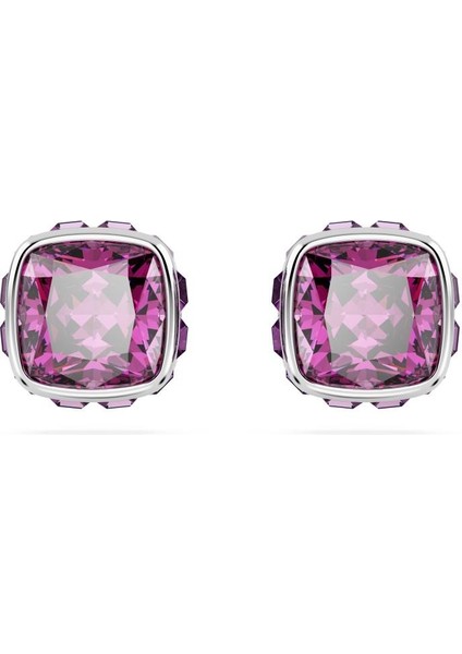 5660797 Swarovski Küpe Birthstone:pe Studs Feb Pur/rhs