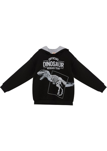 Dino Research Erkek Çocuk Sweatshirt modelleri