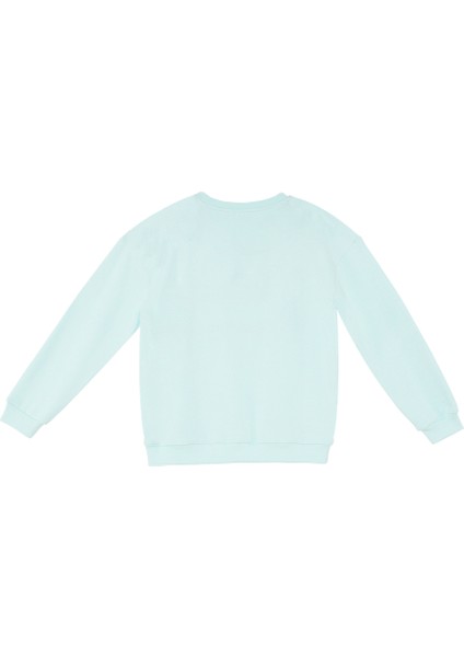 Çiçekler Kız Çocuk Mint Sweatshirt fırsatları