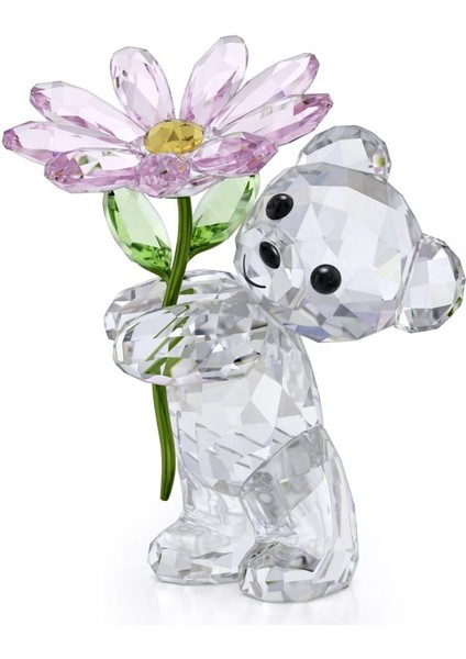 5675327 Swarovski Ev Dekorasyonu Krıs Bear:a Daısy For You