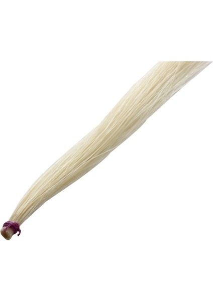 Gösterildiği Gibi Stil Müzisyen Keman Yayı Doğal At Kılı ile Beyaz (Yurt Dışından) fırsatları