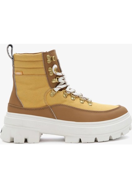 Colfax Elevate Mte.-