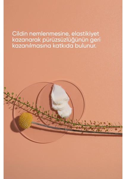 Mırra Hand Cream Oil / El Kremi, Besleyici fırsatları