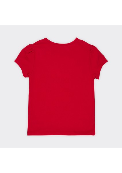 Basic Body 9934391100