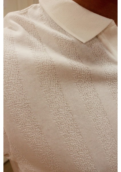 Caz 4157 Kendinden Dokulu Polo Yaka Düğmesiz Erkek T-Shirt indirimleri