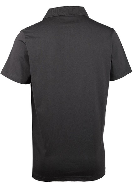 Erkek 4236 Polo Yk. T-Shırt 24Yceeo04236 modelleri