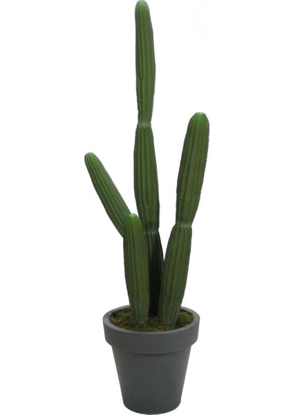 Yapay Çöl Kaktüsü 160 Cm