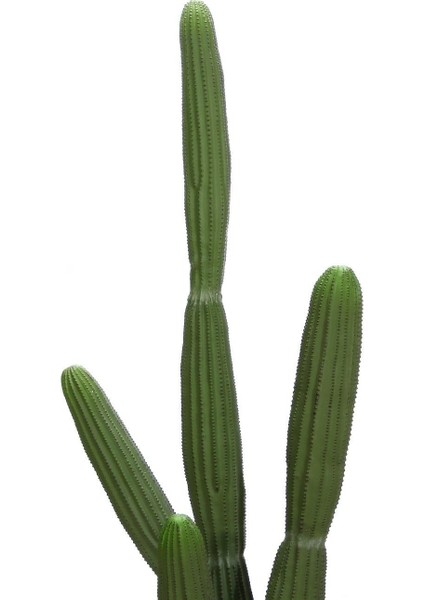 Yapay Çöl Kaktüsü 160 Cm