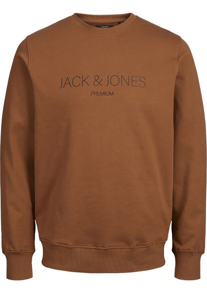 Jack & Jones Erkek Bisiklet Yaka Sweatshirt 12261873