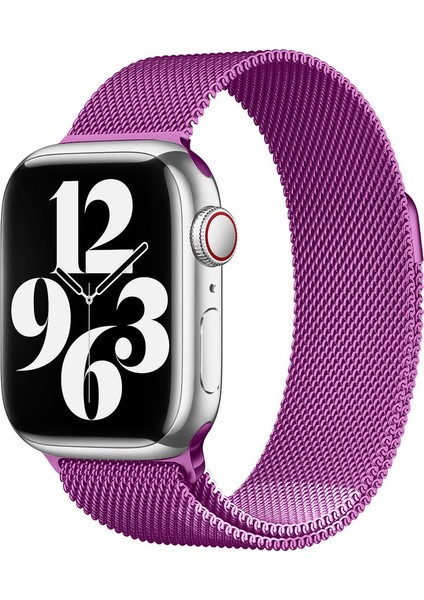 Apple Watch 40MM Uyumlu Kordon Hasır Metal Mıknatıslı Band-01 Kayış, Mor