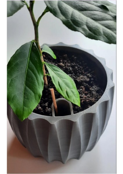 Gri Modern Saksı fiyatları