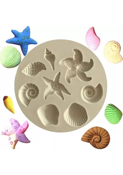 Deniz Kabukları Silikon Kalıp