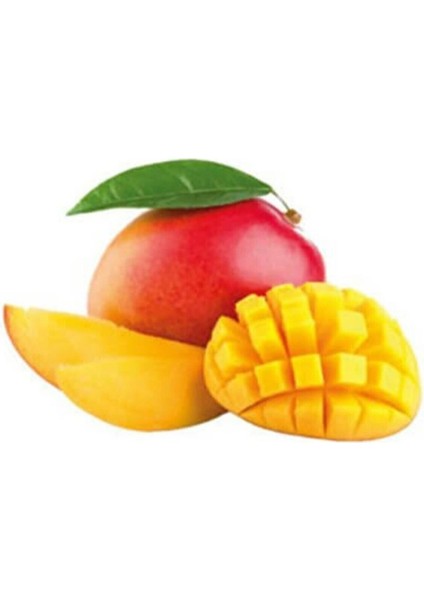 Su Bazlı Aroma Verici Mango 250 G fiyatları