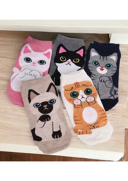 5 Çift Sevimli Çok Renkli Kedi Karikatür Desenli Kadın Patik Çorap Dikişsiz