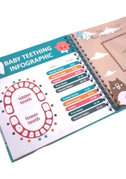 Spiralli Bebek Defteri Sevimli Hayvanlar 22,5 x 22,5 cm modelleri