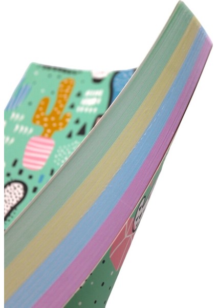 128 Yaprak Çizgili Zemin Renkli Defter Kaktüs 15 x 21 cm modelleri