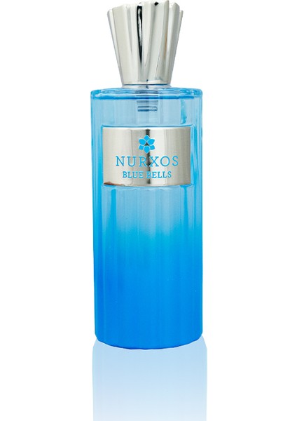 9838 Blue Bells EDP Odunsu Aromatik Erkek Parfümü 100 ml