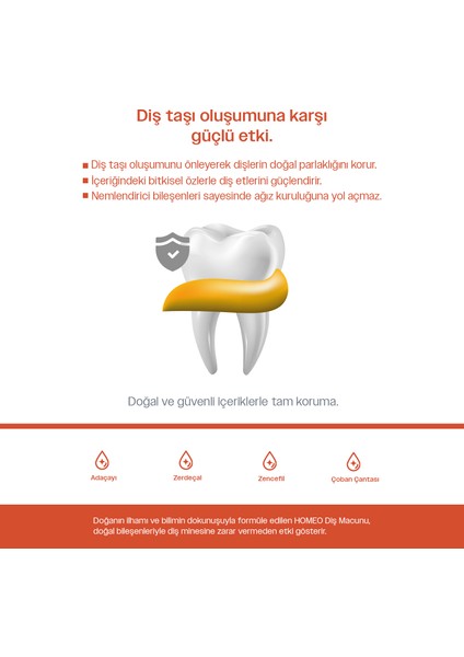 Homeo Diş Taşı Oluşumuna Karşı Diş Macunu