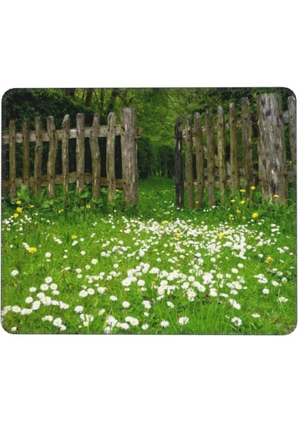 Bahar Bahçesi Papatya Çiçek Mouse Pad 7x8.6 Inç Kaymaz Ka Tabanlı Kablosuz Fare Bilgisayarlar Dizüstü Ofis Için Dayanıklı Malzemeler (Yurt Dışından)