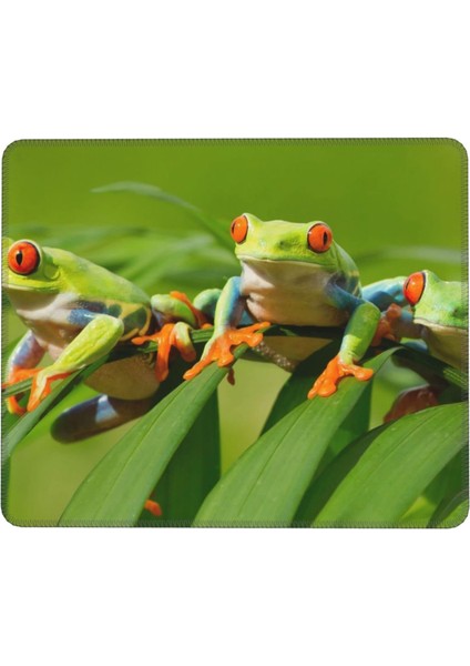 Komik Kurbağalar Mouse Pad 7x8.6 Inç Kaymaz Ka Taban ile Kablosuz Fare Bilgisayarlar Dizüstü Ofis Için Dayanıklı Malzemeler (Yurt Dışından)