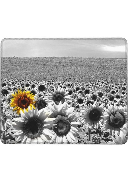 Siyah ve Beyaz Ayçiçeği Mouse Pad 7 x 8,6 Inç Kaymaz Ka Tabanlı Kablosuz Fare Bilgisayarlar Dizüstü Ofis Için Dayanıklı Malzemeler (Yurt Dışından)