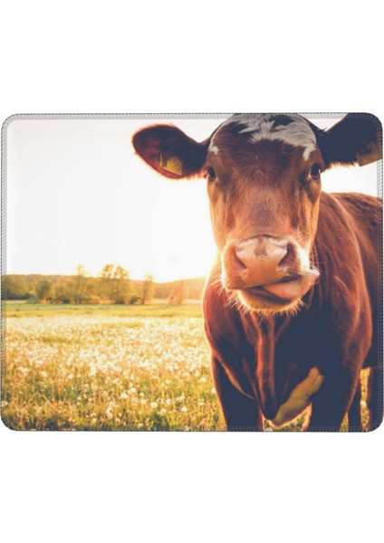 Hayvan Inek Mouse Pad 7x8.6 Inç Kaymaz Ka Tabanlı Kablosuz Fare Bilgisayarlar Dizüstü Ofis Için Dayanıklı Malzemeler (Yurt Dışından)