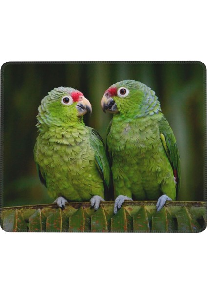 Yeşil Palmiye Ağacı Üzerinde Iki Papağan Mouse Pad 7 x 8,6 Inç Kaymaz Ka Tabanlı Kablosuz Fare Bilgisayarlar Dizüstü Ofis Için Dayanıklı Malzemeler (Yurt Dışından)