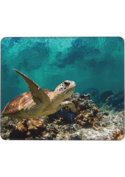 Deniz Kaplumbağası Mouse Pad 7x8.6 Inç Kaymaz Ka Tabanlı Kablosuz Fare Bilgisayarlar Dizüstü Ofis Için Dayanıklı Malzemeler (Yurt Dışından)