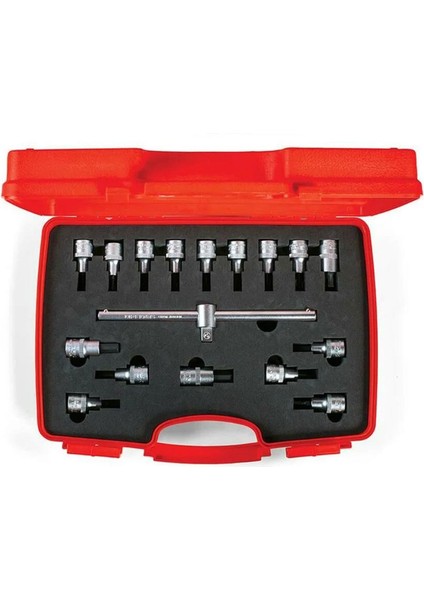 ş Lokmalı Allen Alyan Uç ve Star (Torx) Uç Takımı 1/2" (17 Parça)