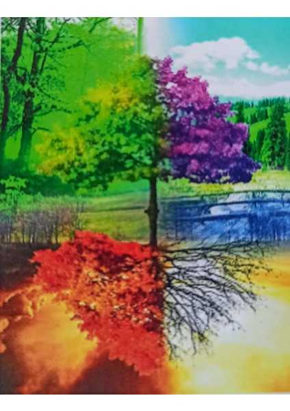 Boncuklu Goblen 5d Taşlı Mozaik Elmas Goblen Diamond Picture Kıt 30X40 Tamamı Yuvarlak Boncuklu