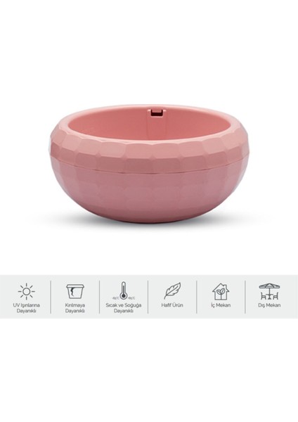 2 Litre Kaktüs Aranjman Saksı Pembe