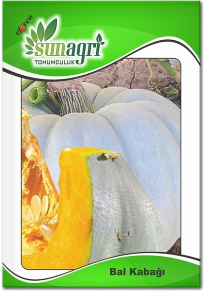 Tohumculuk Organik Bal Kabağı Tohumu 10 gr
